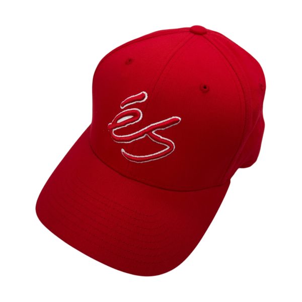 Es Skateboarding Y2K Flexfit Cap